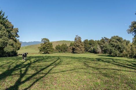 Photo of property in 733 Grove Road, Karamu, Hamilton, 3285