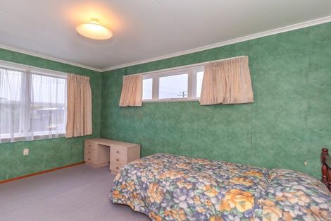 Photo of property in 43 Tiro Tiro Road, Levin, 5510