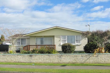 Photo of property in 6 Vogel Street, Levin, 5510