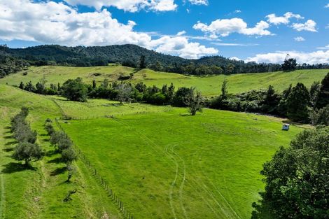 Photo of property in 424a Hot Springs Road, Tahawai, Katikati, 3178