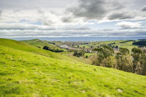 Photo of property in 226 Ongaonga Road, Waipawa, 4272