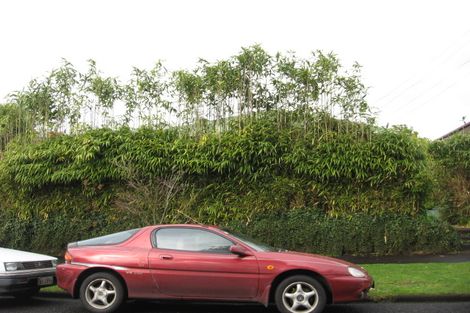 Photo of property in 18 Myrtle Street, Hamilton East, Hamilton, 3216