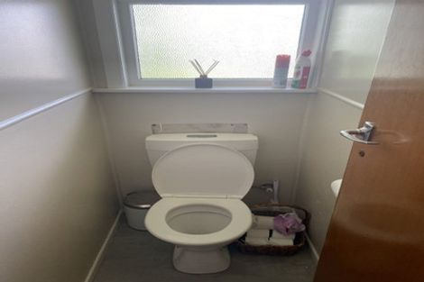 Photo of property in 6 Mcintosh Street, Chartwell, Hamilton, 3210