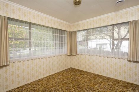 Photo of property in 19 Griffin Street, Richmond, 7020