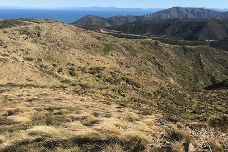 Photo of property in Long Gully Farm, 500 Hawkins Hill Road, Brooklyn, Wellington, 6021