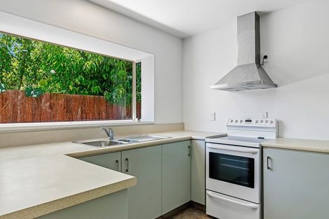 Photo of property in 99 Malcolm Avenue, Beckenham, Christchurch, 8023