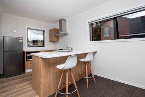Photo of property in 13u4 Palmerston Street, Hamilton Central, Hamilton, 3204