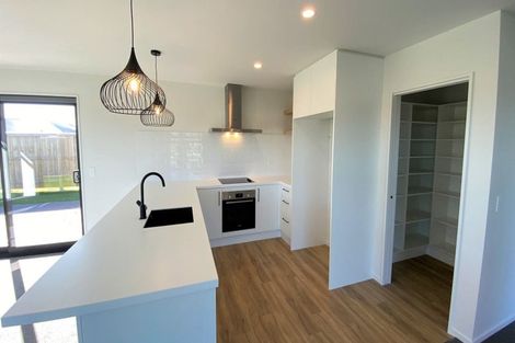 Photo of property in 14 Nethercote Way, Rolleston, 7614