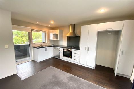 Photo of property in 524e Tuam Street, Phillipstown, Christchurch, 8011