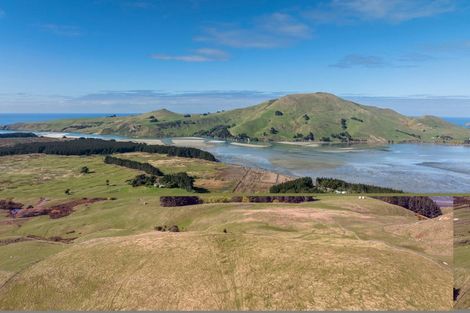 Photo of property in 452 Harington Point Road, Lower Portobello, Dunedin, 9077