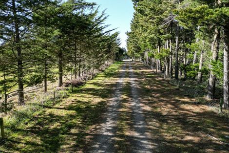 Photo of property in 5a Pesters Road, Eyrewell, Rangiora, 7476