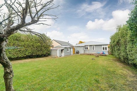 Photo of property in 24 Kauri Street, Roslyn, Palmerston North, 4414