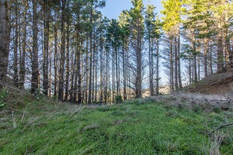 Photo of property in 1165c Cooks Tooth Road, Porangahau, 4293