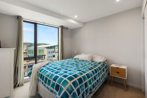 Photo of property in Vsp South, 901/168 Victoria Street, Te Aro, Wellington, 6011