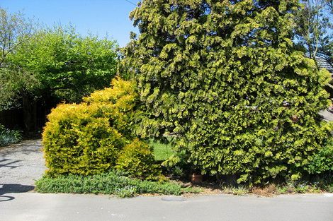 Photo of property in 29 Jocelyn Street, Casebrook, Christchurch, 8051