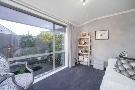 Photo of property in 17 Molesworth Place, Somerfield, Christchurch, 8024