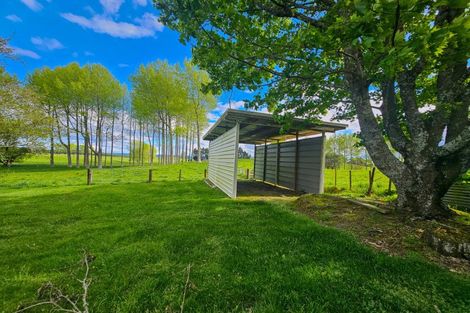 Photo of property in 202 Ngamotu Road, Rerewhakaaitu, Rotorua, 3073