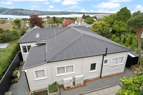 Photo of property in 53 Tweed Street, Roslyn, Dunedin, 9010