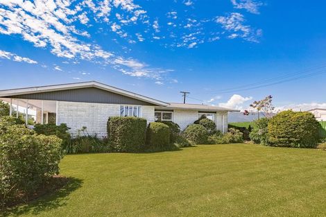 Photo of property in 81 Domett Street, Westport, 7825