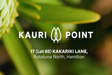 Photo of property in 17 Kakariki Lane, Rototuna North, 3210