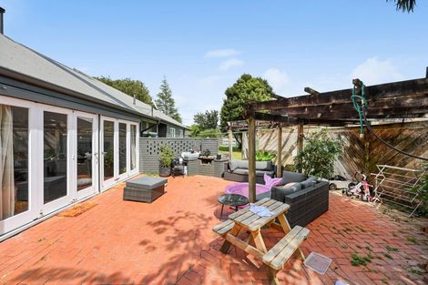 Photo of property in 12 Fend Street, Chartwell, Hamilton, 3210