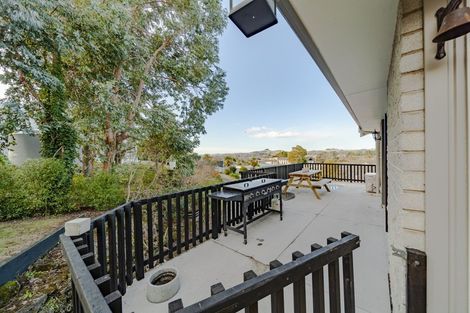 Photo of property in 96 Porangahau Road, Waipukurau, 4200