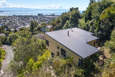 Photo of property in 49a Chamberlain Street, Tahunanui, Nelson, 7011