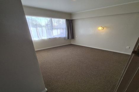Photo of property in 133 Fitzroy Avenue, Fitzroy, Hamilton, 3206
