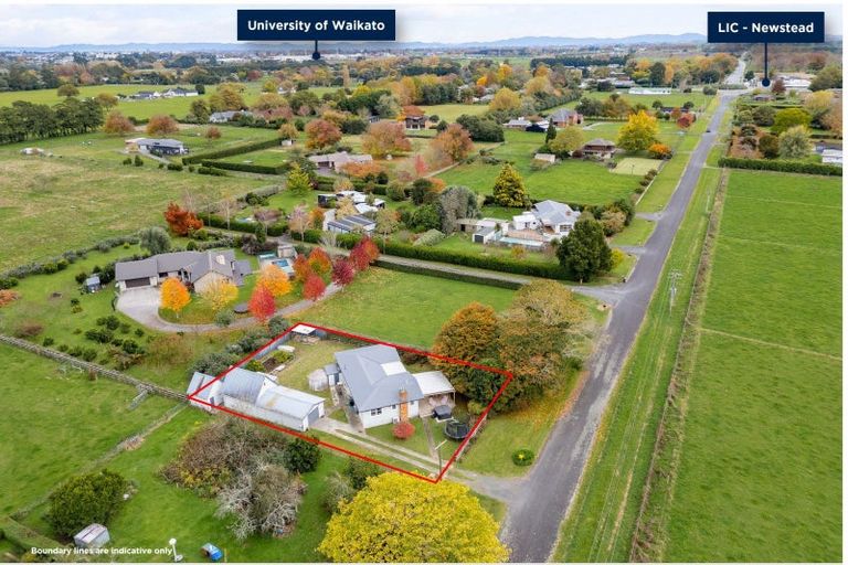 Photo of property in 62 Lissette Road, Newstead, Hamilton, 3286