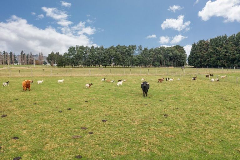 Photo of property in 22 Dukes Road North, Mosgiel, 9092