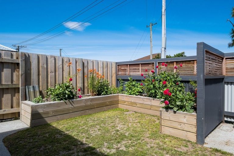 Photo of property in 146 Melbourne Street, South Dunedin, Dunedin, 9012