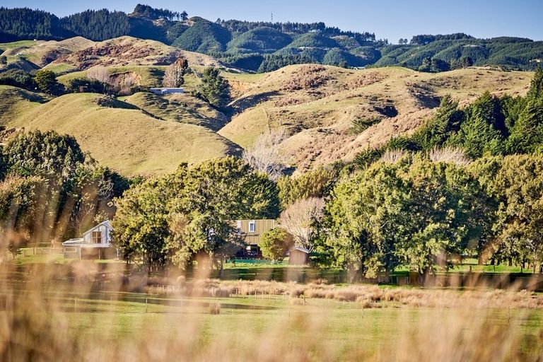Photo of property in 405a Paekakariki Hill Road, Paekakariki Hill, Porirua, 5381