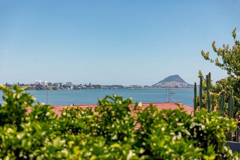 Photo of property in 346a Maungatapu Road, Maungatapu, Tauranga, 3112