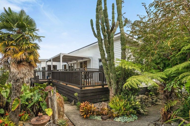 Photo of property in 21 Evans Street, Waihi, 3610