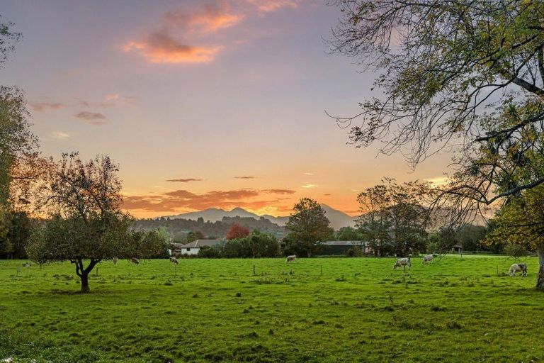 Photo of property in 584 Orari Station Road, Geraldine, 7992