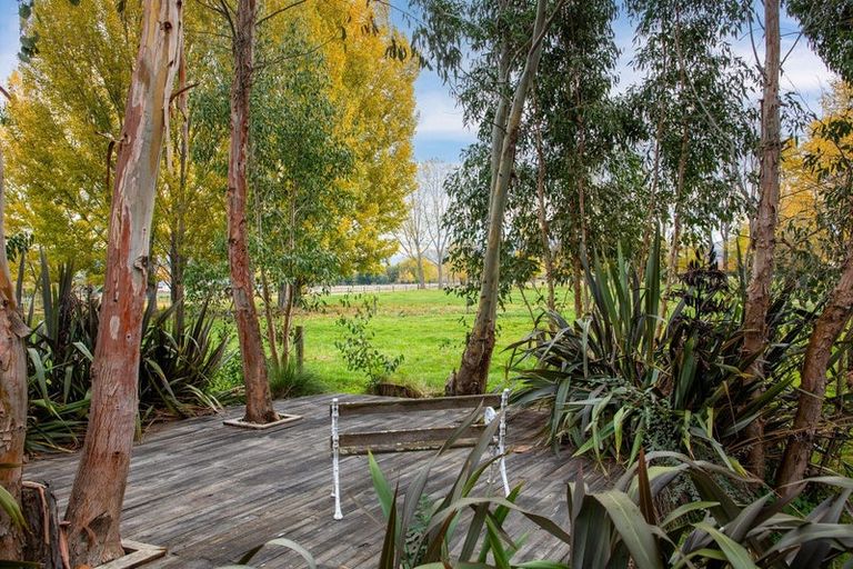 Photo of property in 208 Fisher Lane, Galloway, Alexandra, 9393