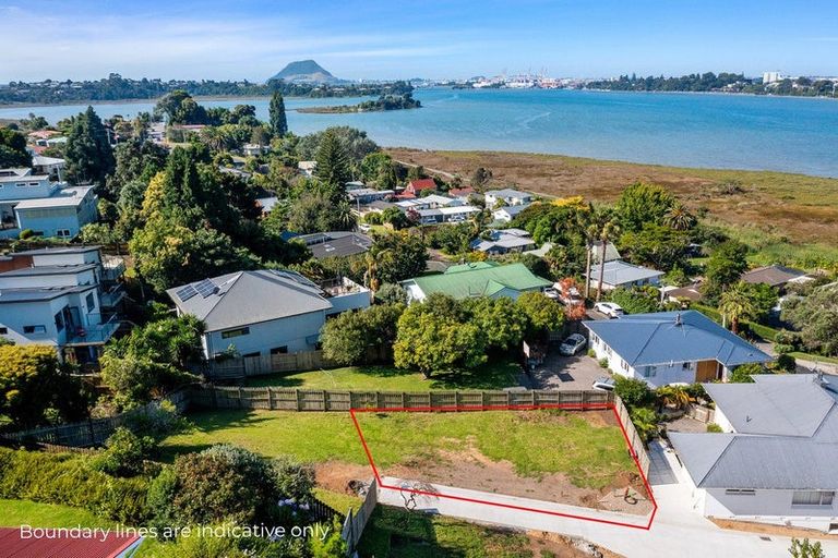 Photo of property in 44 Churchill Road, Judea, Tauranga, 3110