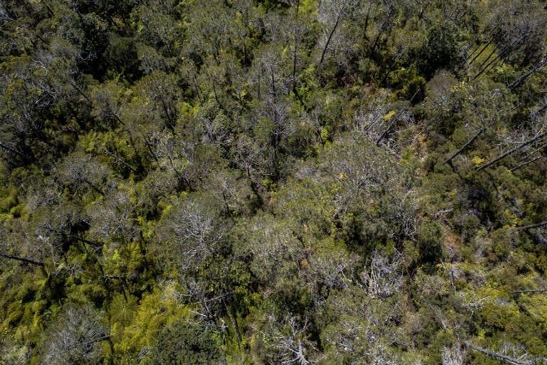 Photo of property in 8 Patricia Place, Hahei, Whitianga, 3591
