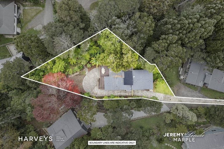 Photo of property in 47 Daffodil Street, Titirangi, Auckland, 0604