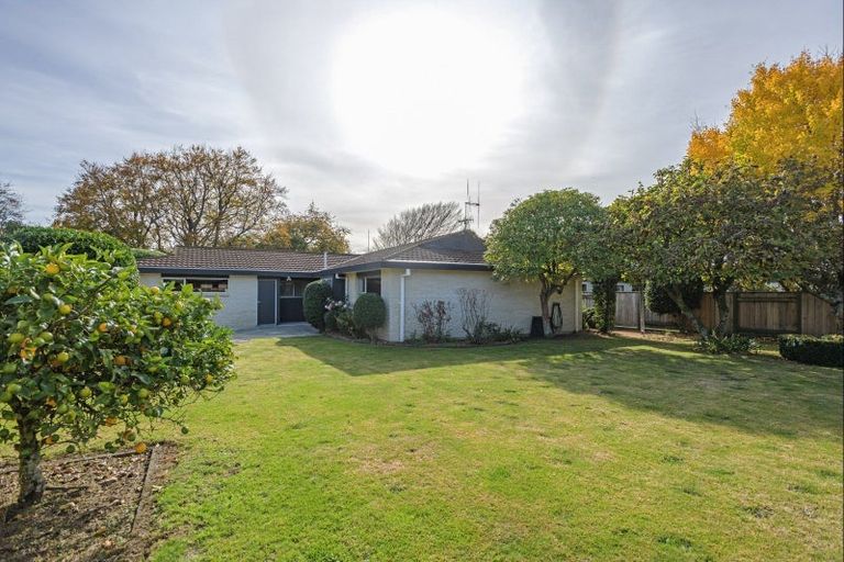 Photo of property in 74a Fitzroy Street, Terrace End, Palmerston North, 4410