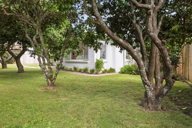 Photo of property in 318 Maungatapu Road, Maungatapu, Tauranga, 3112