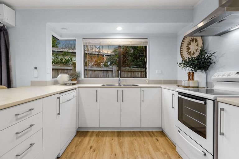 Photo of property in 24 Kaimai Place, Hairini, Tauranga, 3112