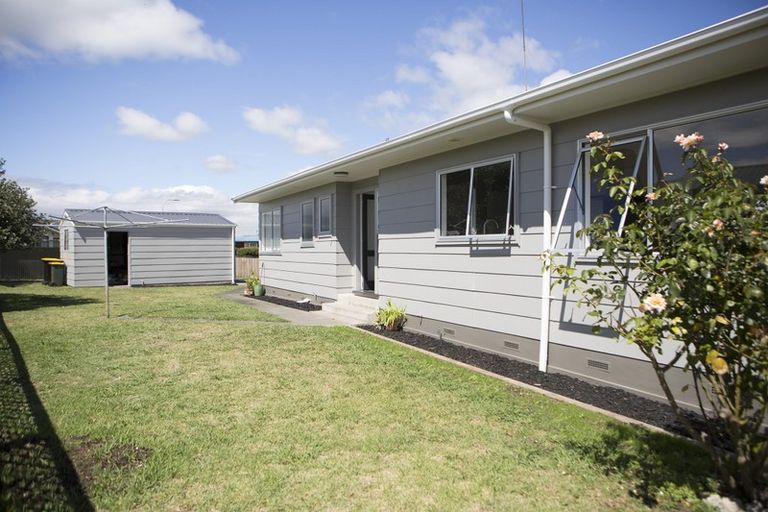 Photo of property in 161 Pollard Drive, Te Awamutu, 3800