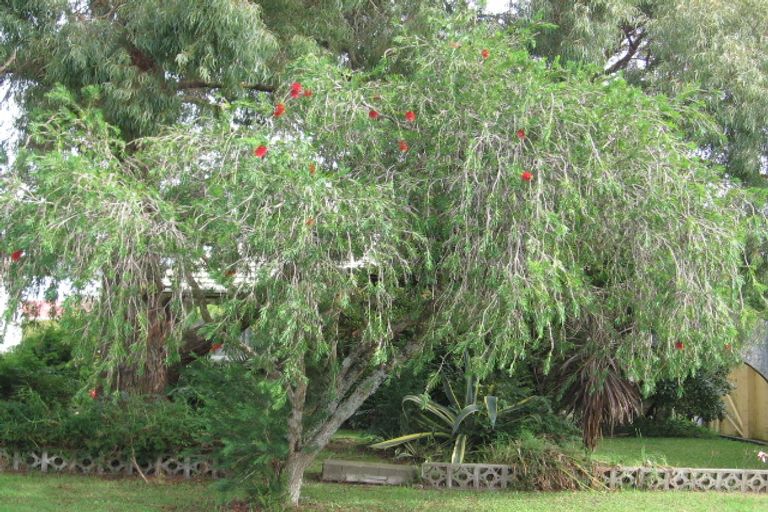 Photo of property in 14 Geordie Street, Henderson, Auckland, 0612