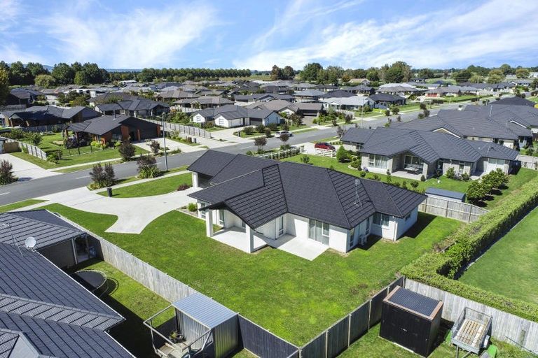 Photo of property in 13 Richardson Road, Matamata, 3400