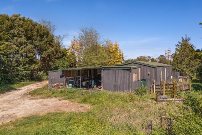 Photo of property in 3/193 Racecourse Road, Cambridge, 3493