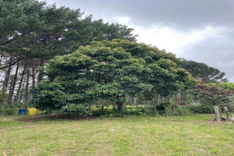 Photo of property in 141 Kellys Bay Road, Pouto, Te Kopuru, 0391
