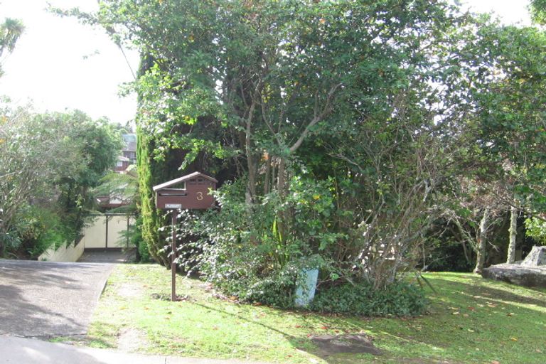 Photo of property in 3 Theodora Place, Mairangi Bay, Auckland, 0630