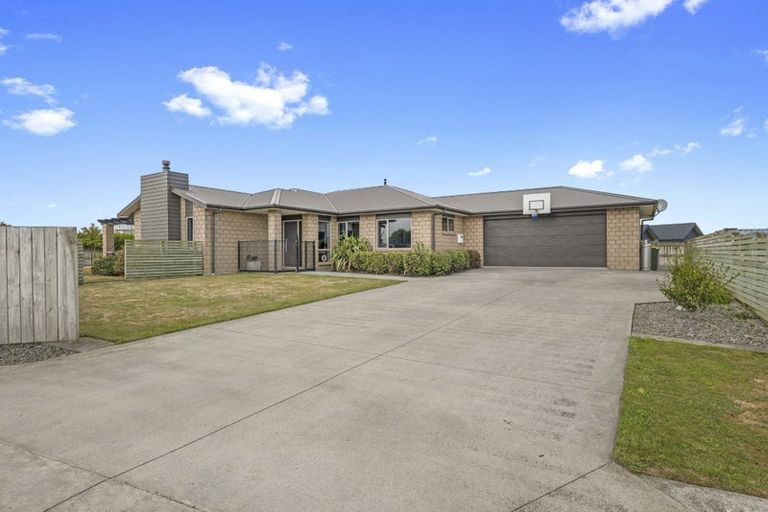 Photo of property in 20 Larlin Drive, Hawera, 4675
