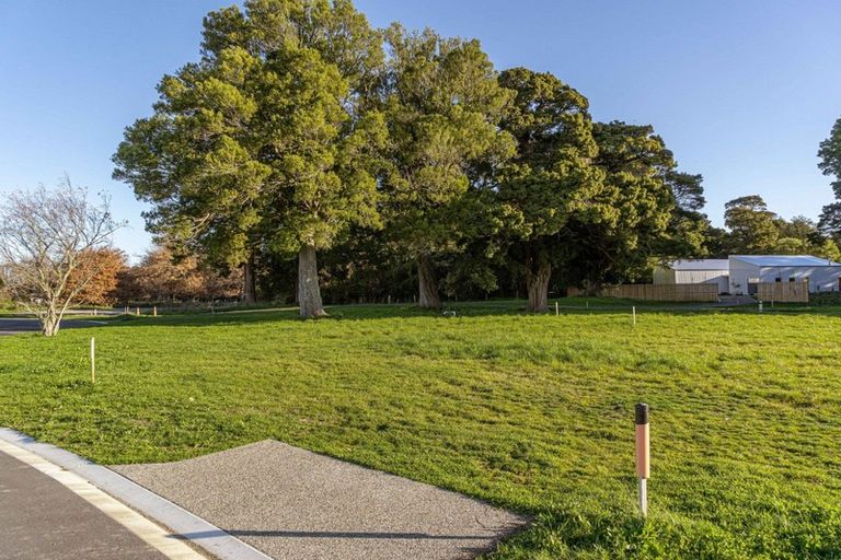 Photo of property in 23 Orchard Road, Greytown, 5712